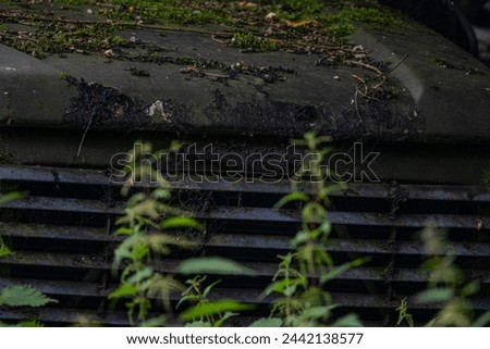 DOF, CLOSE UP: Deserted black old car peeking through vibrant green stinging nettles. Rusty and mossy front of an abandoned vintage vehicle, which was left to time and nature somewhere in the woods.