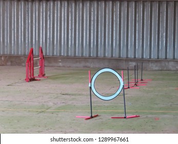 Dog Agility Jumps In An Indoor Barn