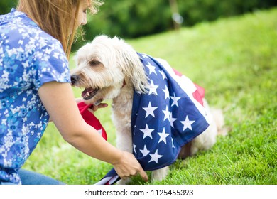 Dog With American Flag Bandana