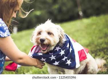Dog with american flag bandana