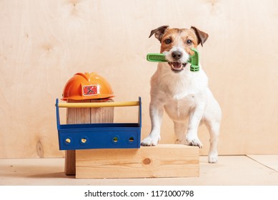 Dog as amusing builder holding hammer in mouth standing near hardhat