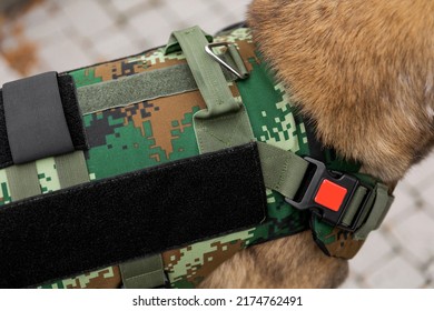 Dog Armor. Dog In A Bulletproof Vest