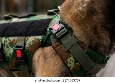 Dog Armor. Dog In A Bulletproof Vest