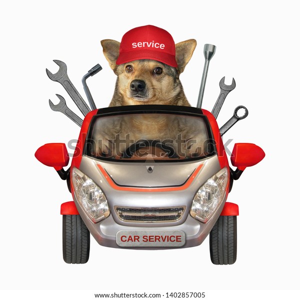 The dog auto\
mechanic in a cap is in the red car of the vehicle repairs company.\
White background. Isolated.
