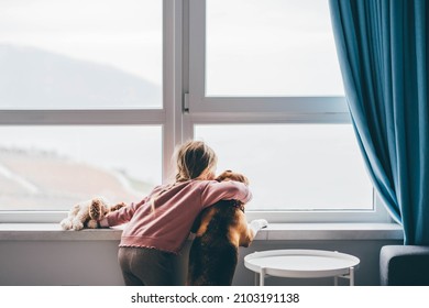 Dog And Baby Girl Staring Out A Large Window.