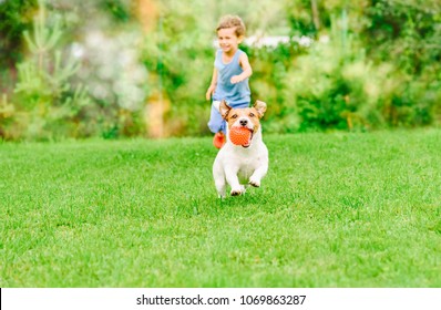 Dog with ball in mouth runs from kid playing chase game at summer lawn