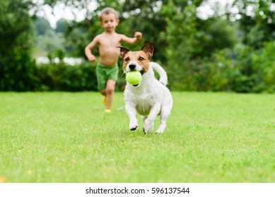 Dog with ball running from child  playing catch-up game