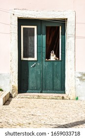 Dog Barking For Intruders Through The Window Of A Beatiful Green Wooden Door