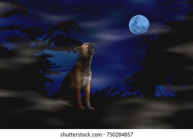 Dog Barking The Moon