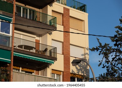 Dog Barking On A Terrace. Dog Is Closed Outside By Owners. Sad, Angry And Scared Dog Barking Alone