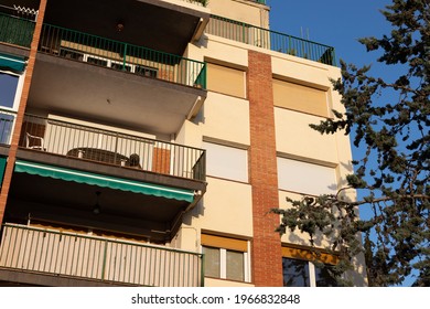 Dog Barking On A Terrace. Dog Is Closed Outside By Owners. Sad, Angry And Scared Dog Barking Alone