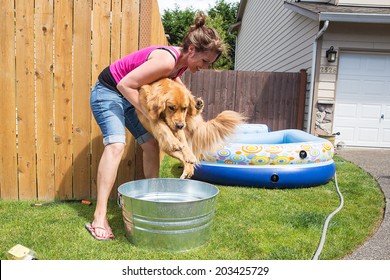 Dog Bath