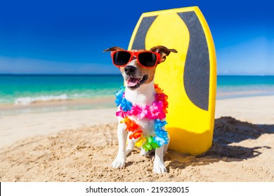 10,026 Dog Surf Images, Stock Photos & Vectors | Shutterstock