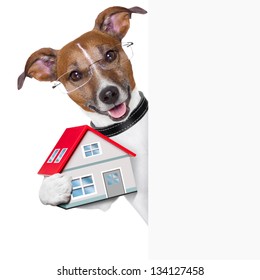 Dog Behind An Empty Placard With A Small House