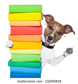 Dog Behind A Tall Stack Of Books