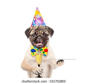 Dog in birthday hat holding glass of champagne and service tray. isolated on white background