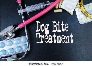 can you get worms from dog bite