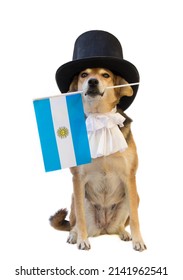dog with black top hat and jabot dressed for the Argentine national holidays