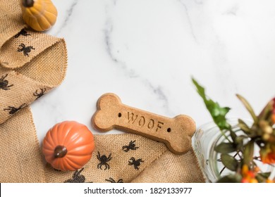 Dog Bone Treat With Fall Decor On White Marble Flat Lay