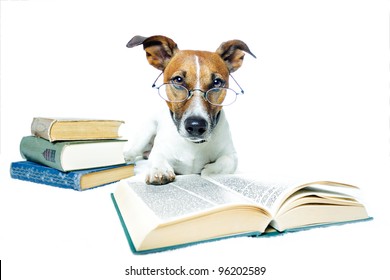 Dog Books