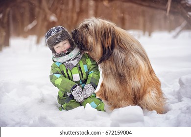 Dog breed Briard licked the little boy's cheek on a winter day