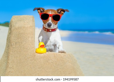 Dog Building A Sandcastle With Red Sunglasses In Summer Vacation