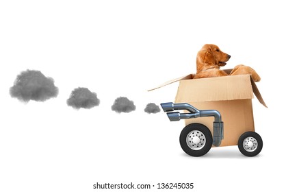 how do you ship a dog