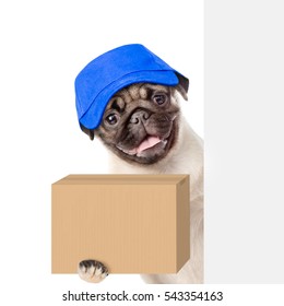 dog with box