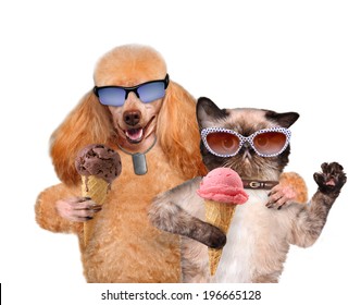 Dog With A Cat Eat Ice Cream.