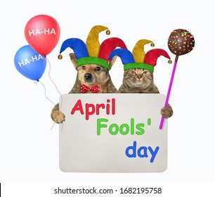 The Dog And The Cat In Jester Hats Are Holding Multi-colored Balloons, а Chocolate Cake Pop And A Paper Sign With Inscription April Fools Day.