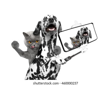 Dog And Cat Photographed Selfie On The Phone -- Isolate On White Background