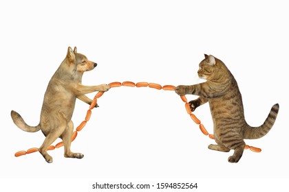 The Dog With The Cat Are Playing In Tug Of War. They Pull A Sausage Instead Of A Rope. White Background. Isolated.