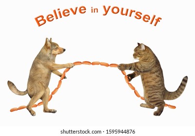 The Dog With The Cat Are Playing In Tug Of War. They Pull A Sausage Instead Of A Rope. Believe In Yourself. White Background. Isolated.