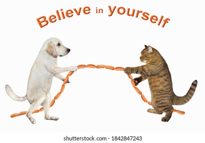 A Dog And A Cat Are Playing In Tug Of War. They Pull A Sausage Instead Of A Rope. Believe In Yourself. White Background. Isolated.