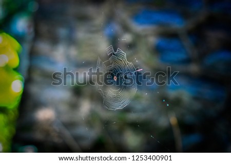 Similar – water on water with leaf padding