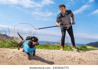  Dog catching service. Puppy in clothes runs away from man with iron sap in his hands, escapes. Trapping of wild stray animals, protection, chipping. Handler training a puppy, active games in nature
