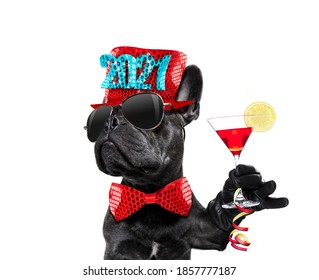 Dog Celebrating New Years Eve With Champagne Isolated On White Background Beside A Banner Or Placard, Peace And Victory Fingers