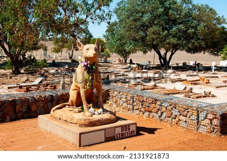 Dog Cemetery for the Public