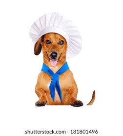 Dog Chef Cook 