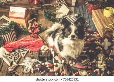 Dog Christmas Cards, Naughty Puppy Playing With The Christmas Decorations