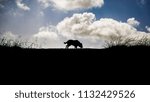 Dog in the clouds