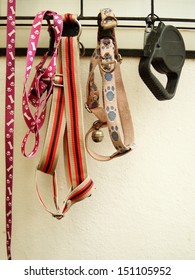 Dog Collars And Ropes Unused Hanging On A Wall Dried Under Sunlight Ready For The Next Use