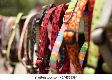 Dog collars for sale in pet store - Shutterstock ID 244536394