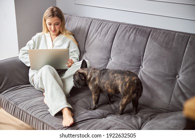 Dog Coming Closer To Its Owner, Lying On Sofa While Working On A Computer, And Sniffing Her Leg