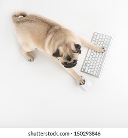 Dog With Computer Keyboard. Top View Of Funny Dog Using Computer Keyboard And Mouse While Isolated On White