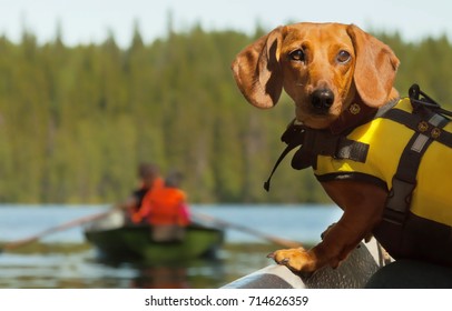 Dog Control Boat Trip Lake.