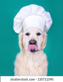 Dog Cooking