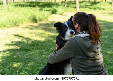 Dog Cuddling A Woman In A Park