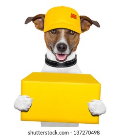 Dog Delivery Yellow Post Box With Cap