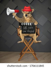 The Dog Director In A Red Hat Is Sitting On A High Wooden Chair And Holding A Megaphone And A Clapperboard With Inscription All Cats Are Stupid.